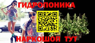 a pvp Тула