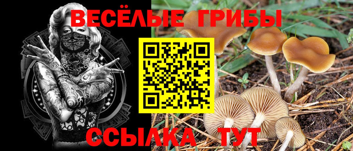 Псилоцибиновые грибы Magic Shrooms  Вход с VPN  Минеральные Воды 