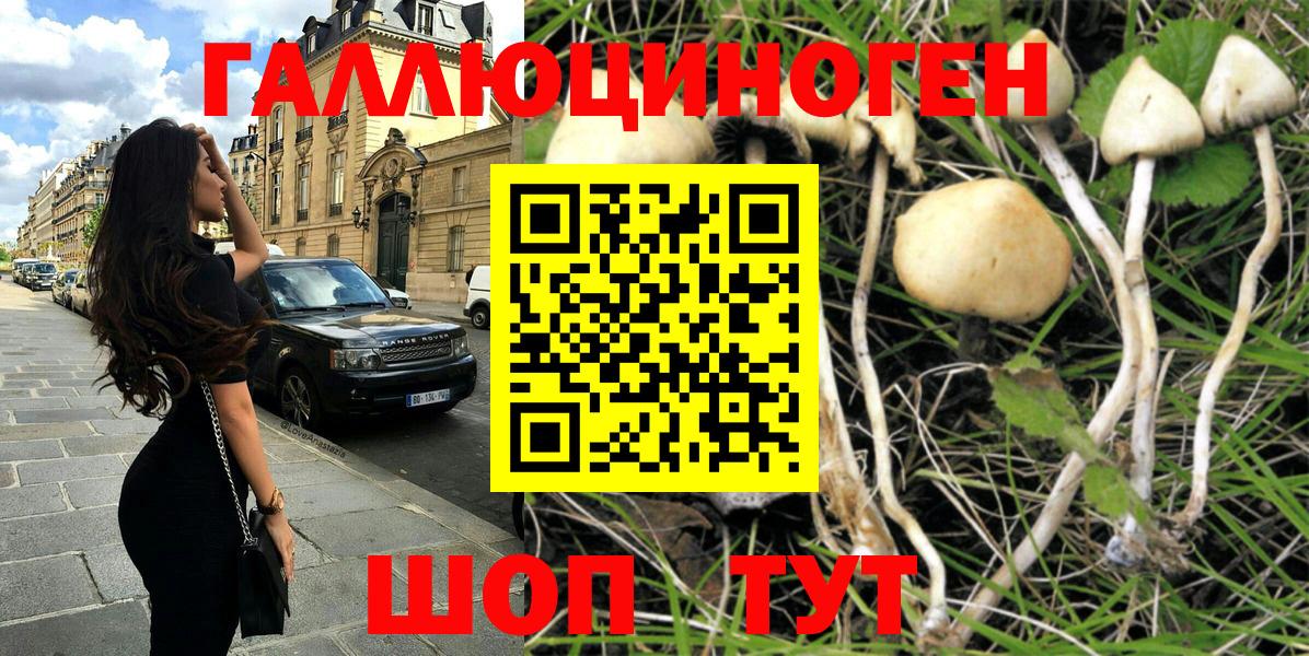 Псилоцибиновые грибы мухоморы Минеральные Воды