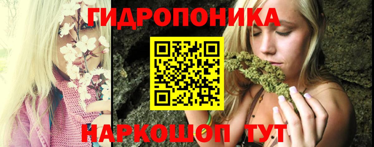 Минеральные Воды  Конопля конопля  Шишки марихуана семена  Вход с VPN  Конопля семена 